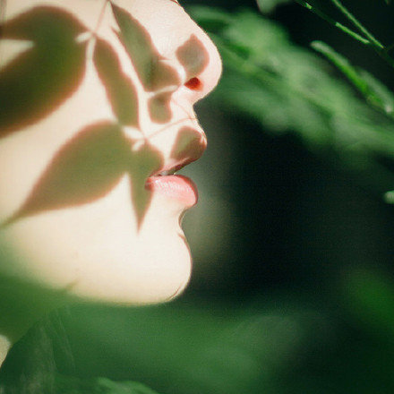 绿色护眼小清新治愈系的微信聊天背景图