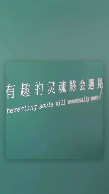 绿色护眼小清新治愈系的微信聊天背景图