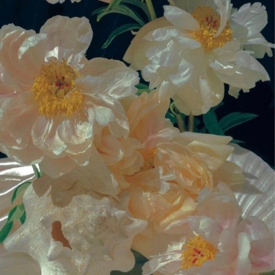 十一月用的好看微信头像