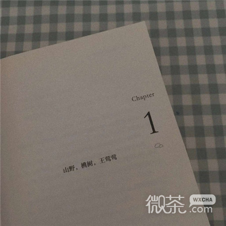 沉迷温柔到无法自拔的微信聊天背景图