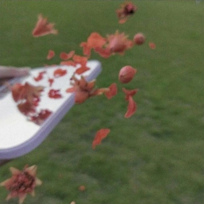 十一月用的好看微信头像