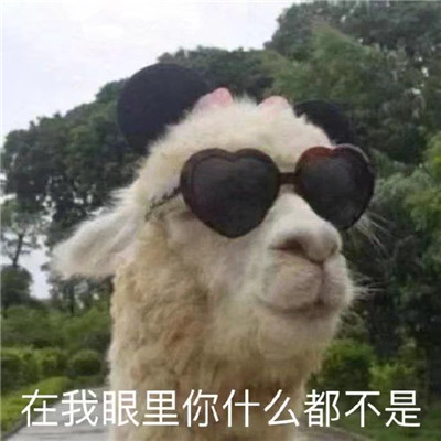 搞笑聊天沙雕微信表情包