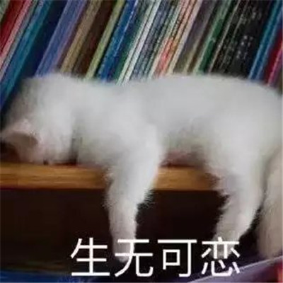 搞笑聊天沙雕微信表情包