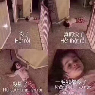 双十一的养猫人淘宝人气助力PK微信表情包