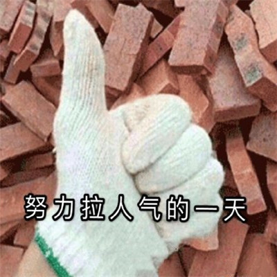 双十一的养猫人淘宝人气助力PK微信表情包