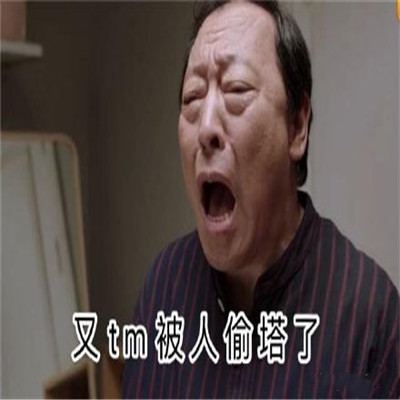 双十一的养猫人淘宝人气助力PK微信表情包
