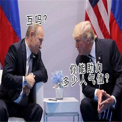双十一的养猫人淘宝人气助力PK微信表情包