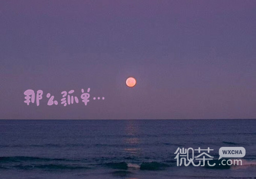 ins风文字简单伤感的微信素材图片