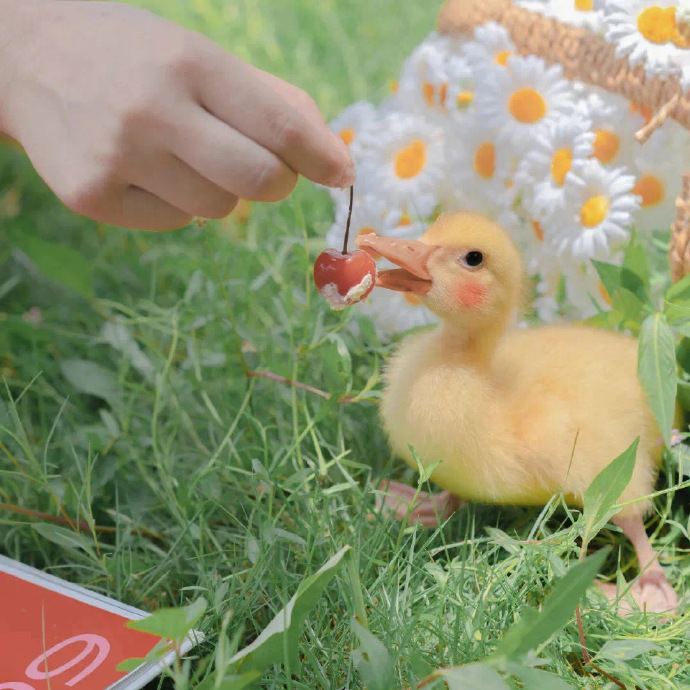 秋意温暖唯美朋友圈配图