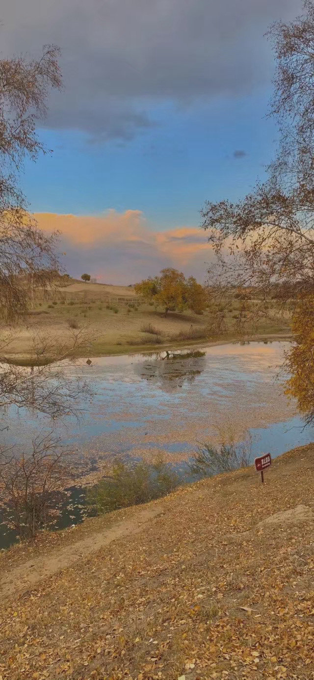 静谧文艺的微信聊天背景图