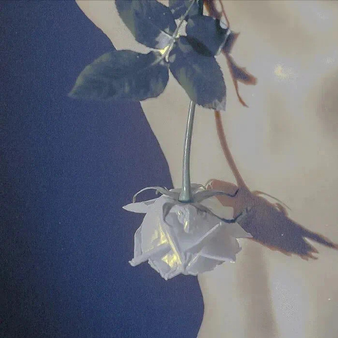 十一月文案唯美朋友圈配图