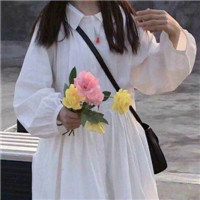 可爱小清新情侣微信头像