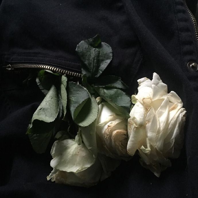 意境文艺花朵微信聊天背景图