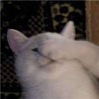 可爱搞怪的沙雕情侣微信头像