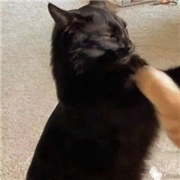 可爱搞怪的沙雕情侣微信头像