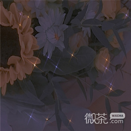 唯美伤感悲伤的微信朋友圈配图