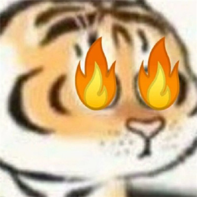 全网超火的小老虎微信头像