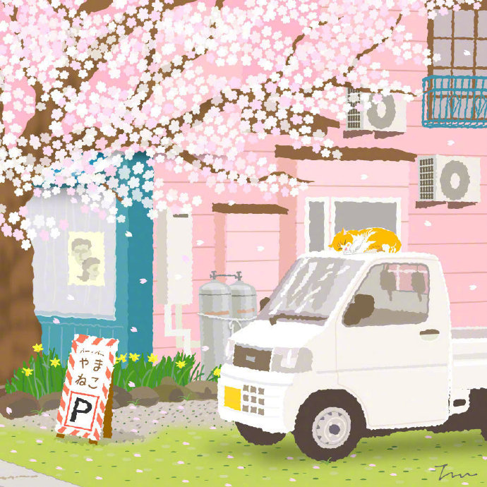 猫猫的一年四季唯美可爱素材图片