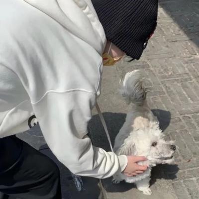 真人男头很飒又帅气