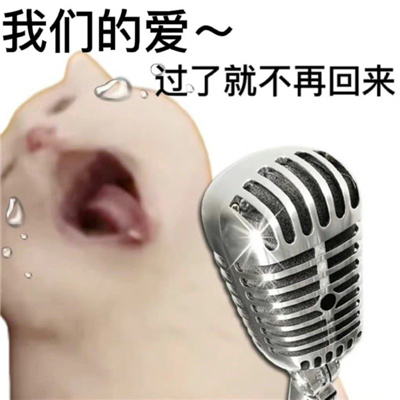 最火表情包合集