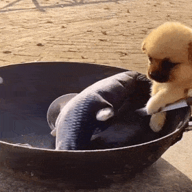 私藏的搞怪的动态表情