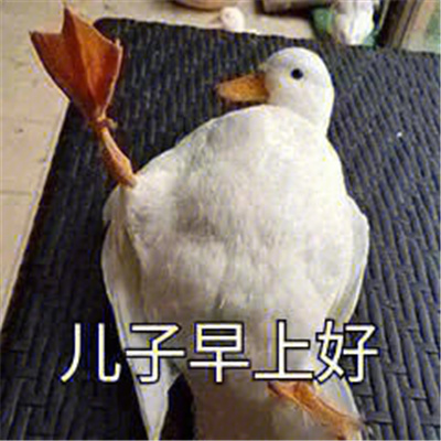 好气又好笑的表情包