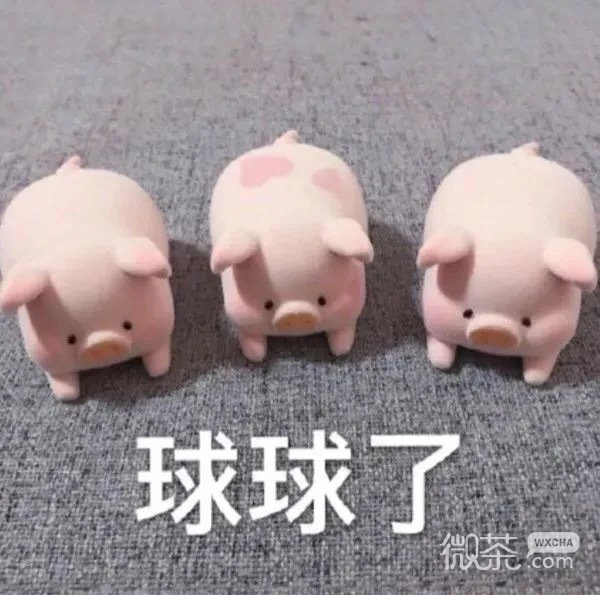 玩偶猪猪搞笑微信表情包