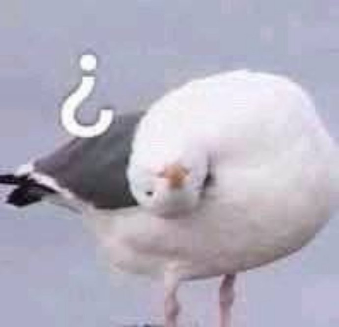 鸽子沙雕好玩微信表情包