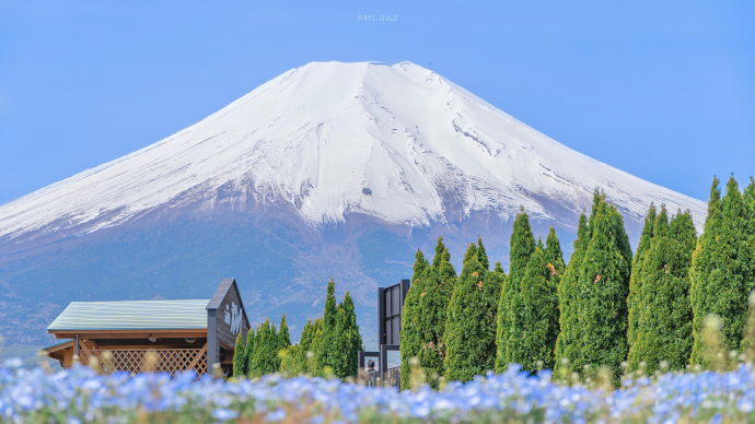 富士山的初夏微信素材图片