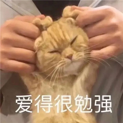 第一次聊天打招呼的表情包