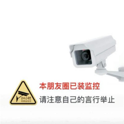 抖音朋友圈已装监控表情包大全