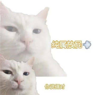 超级火的经典表情包