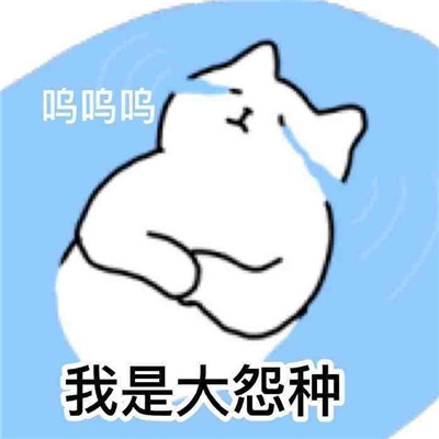 好玩的斗图表情包