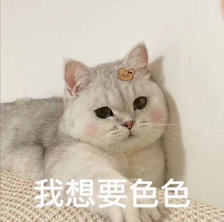 老公想要色色微信表情包