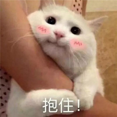 沙雕斗图幽默聊天表情