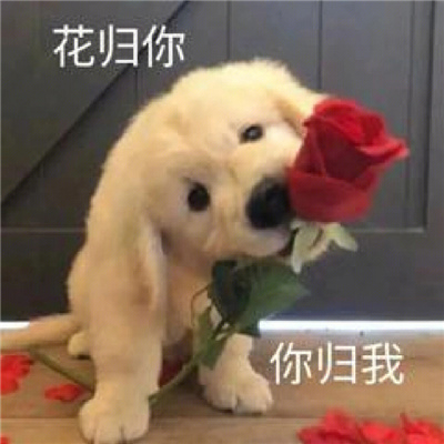 涩涩系列表情包