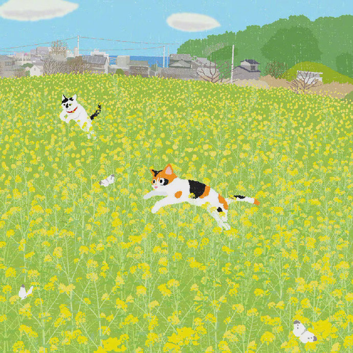 猫猫的一年四季唯美可爱素材图片