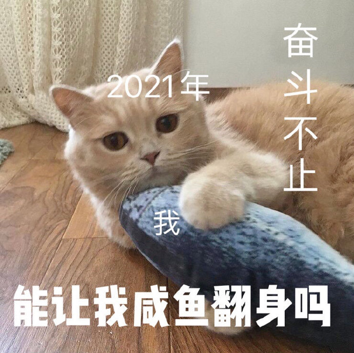 2021新一年的愿望祝愿微信表情包