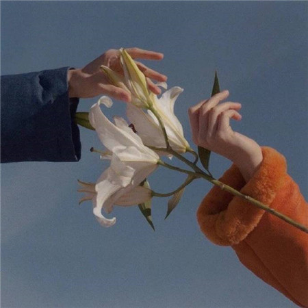 浪漫且小众的微信朋友圈背景图