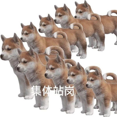 站岗小狗表情包合集