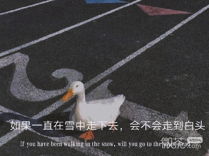 比较感伤深沉的微信背景图