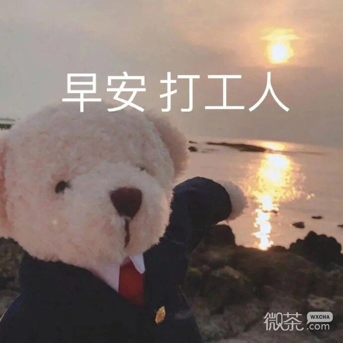 搞笑有趣的可爱微信表情包