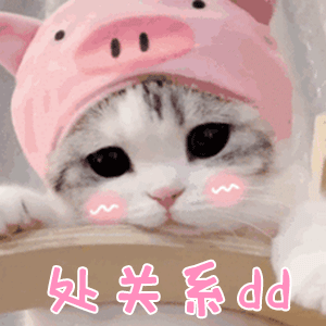 超可爱的小猫咪动态微信表情包