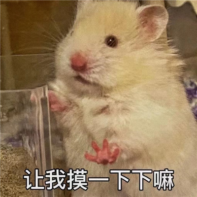 情侣之间发的色色聊天表情