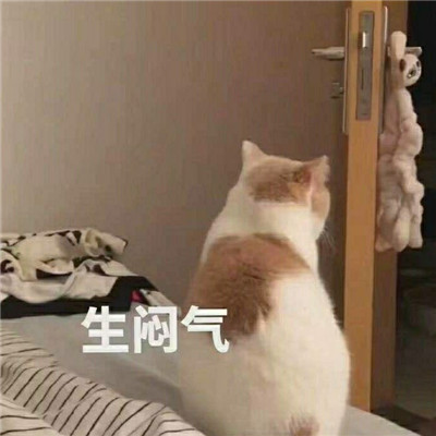 生气暴走不服干架微信表情包