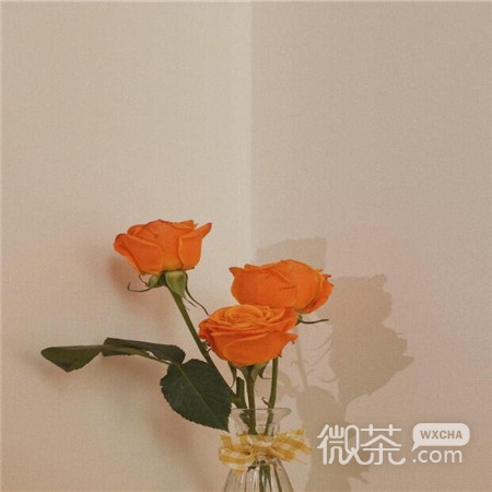 浪漫且小众的微信朋友圈背景图