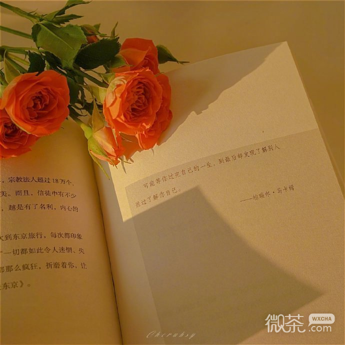 黄色系阳光温暖的微信朋友背景图