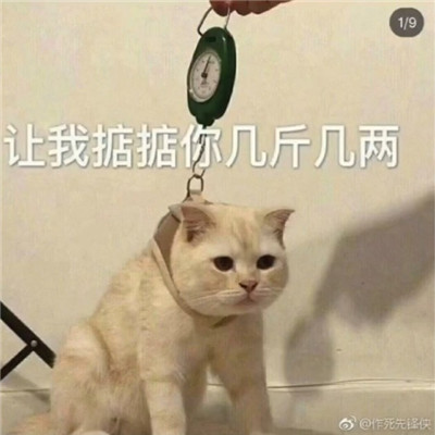 生气暴走不服干架微信表情包