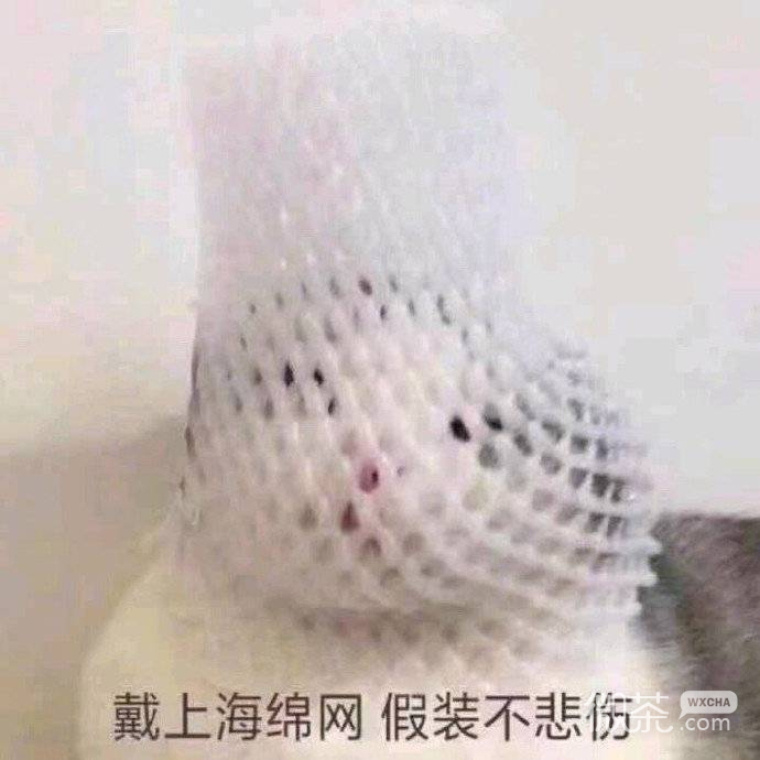 新颖沙雕微信表情包