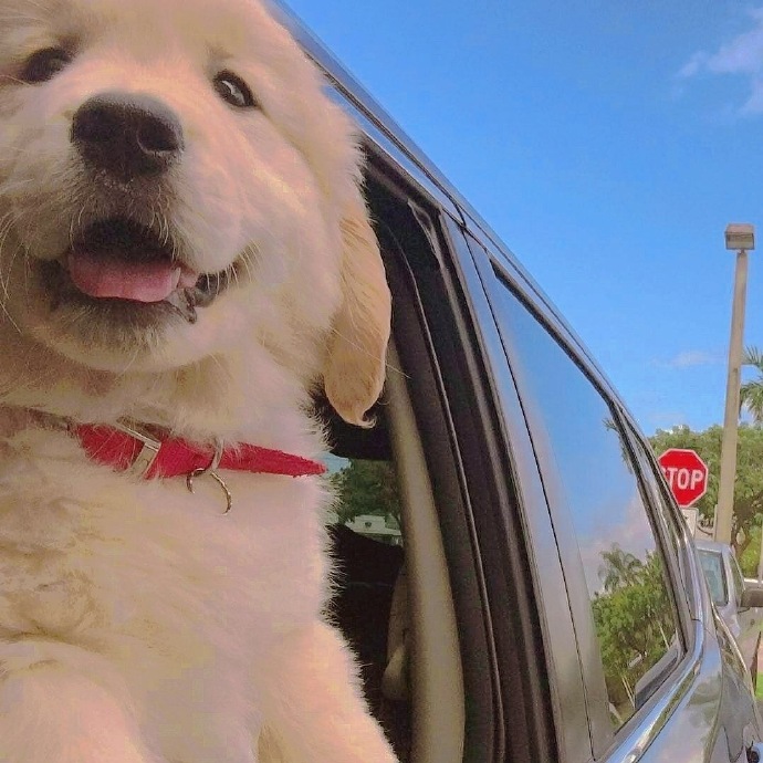 可爱好看的个性微信头像